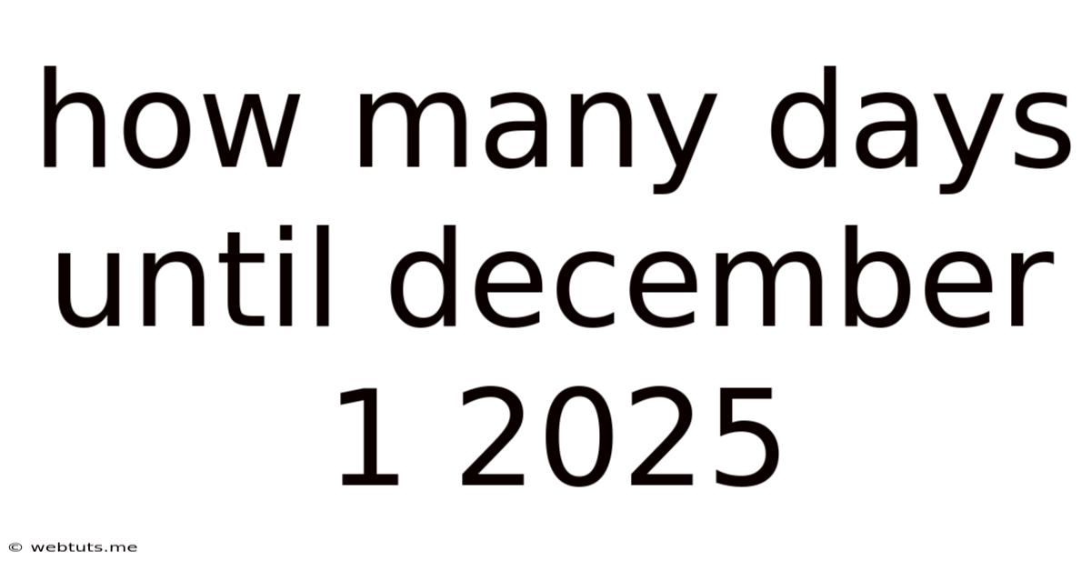 How Many Days Until December 1 2025