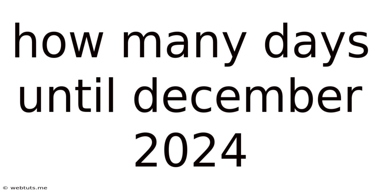 How Many Days Until December 2024