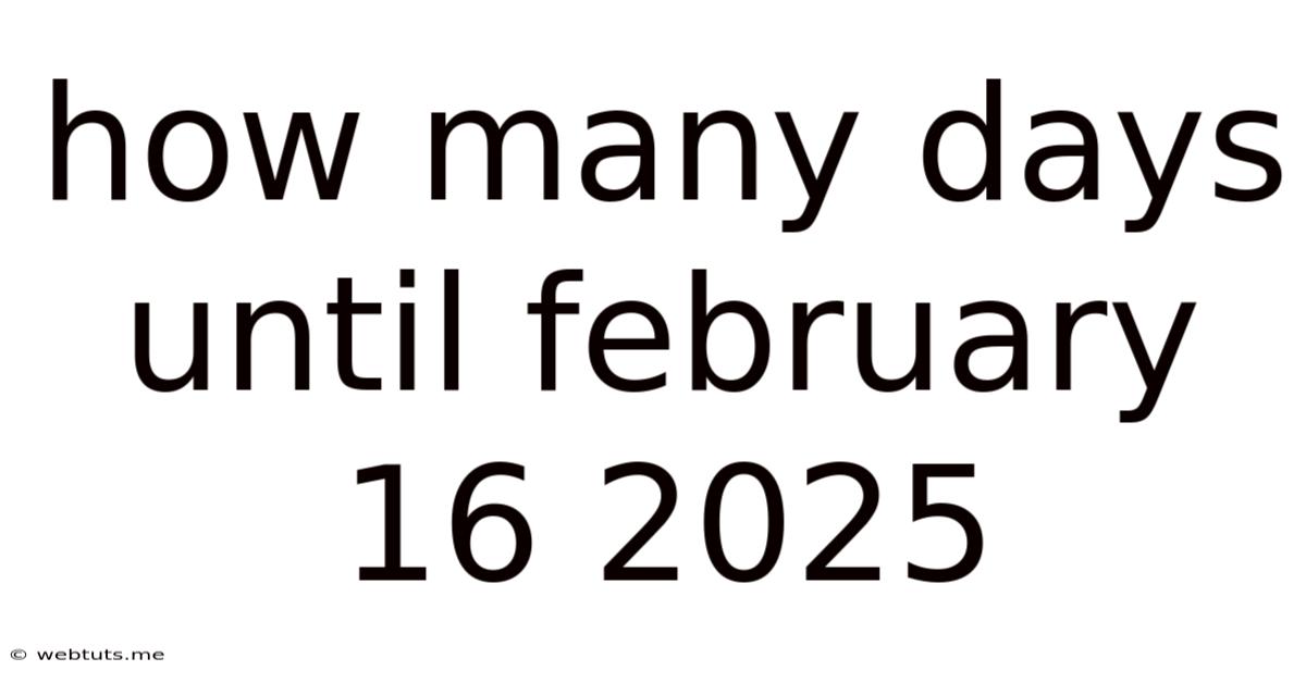 How Many Days Until February 16 2025