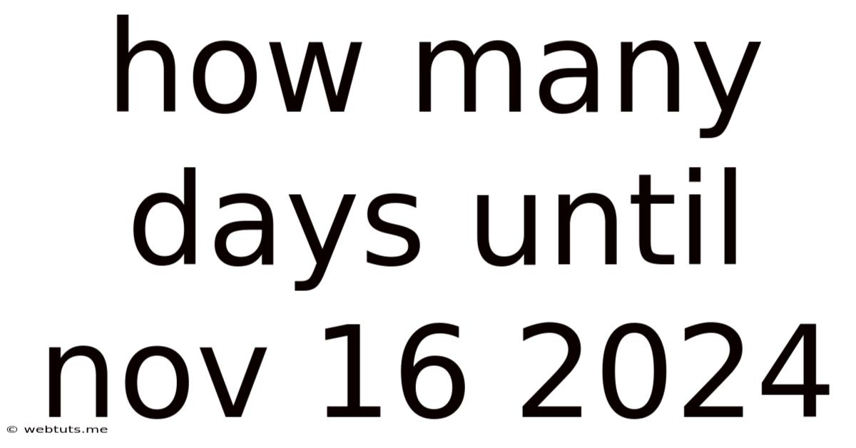 How Many Days Until Nov 16 2024