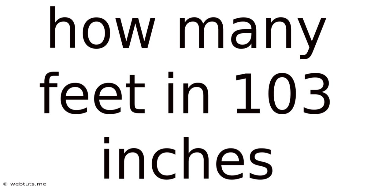 How Many Feet In 103 Inches