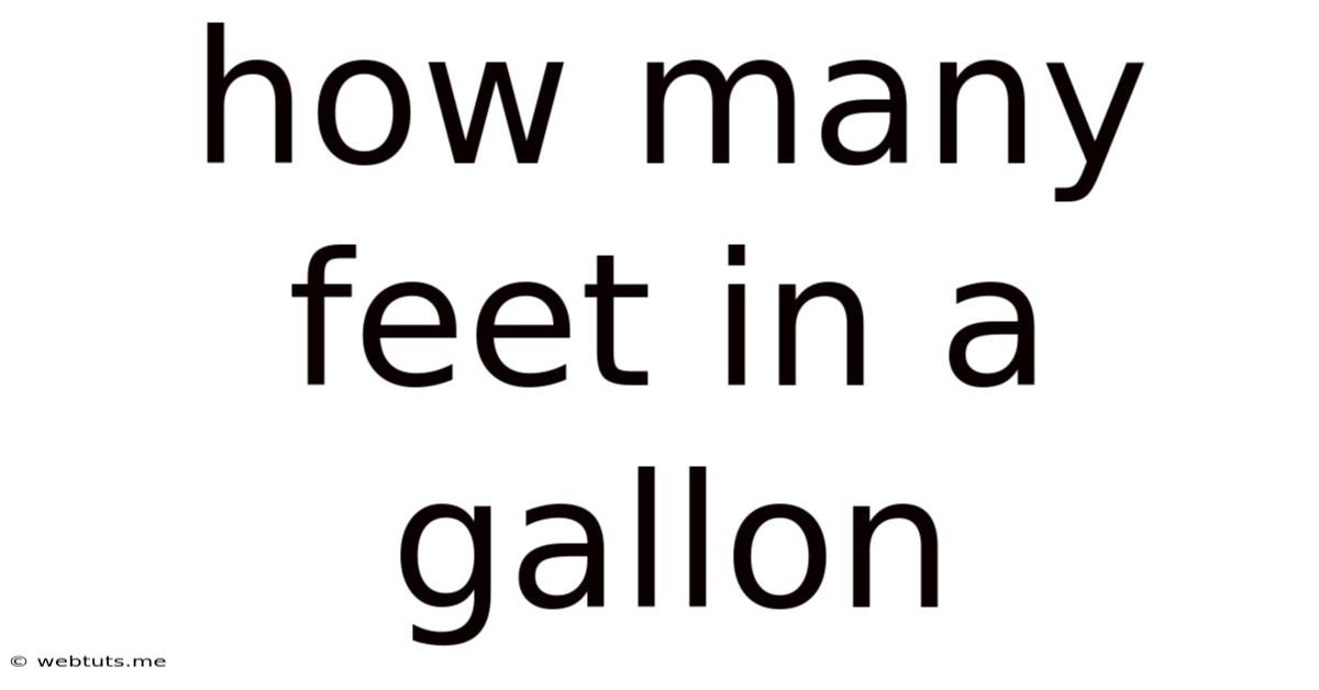 How Many Feet In A Gallon