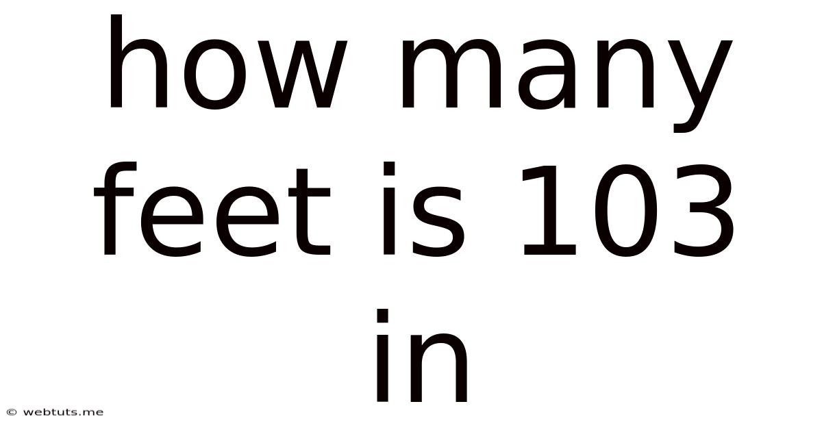 How Many Feet Is 103 In