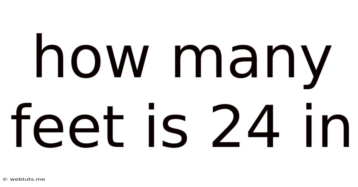 How Many Feet Is 24 In