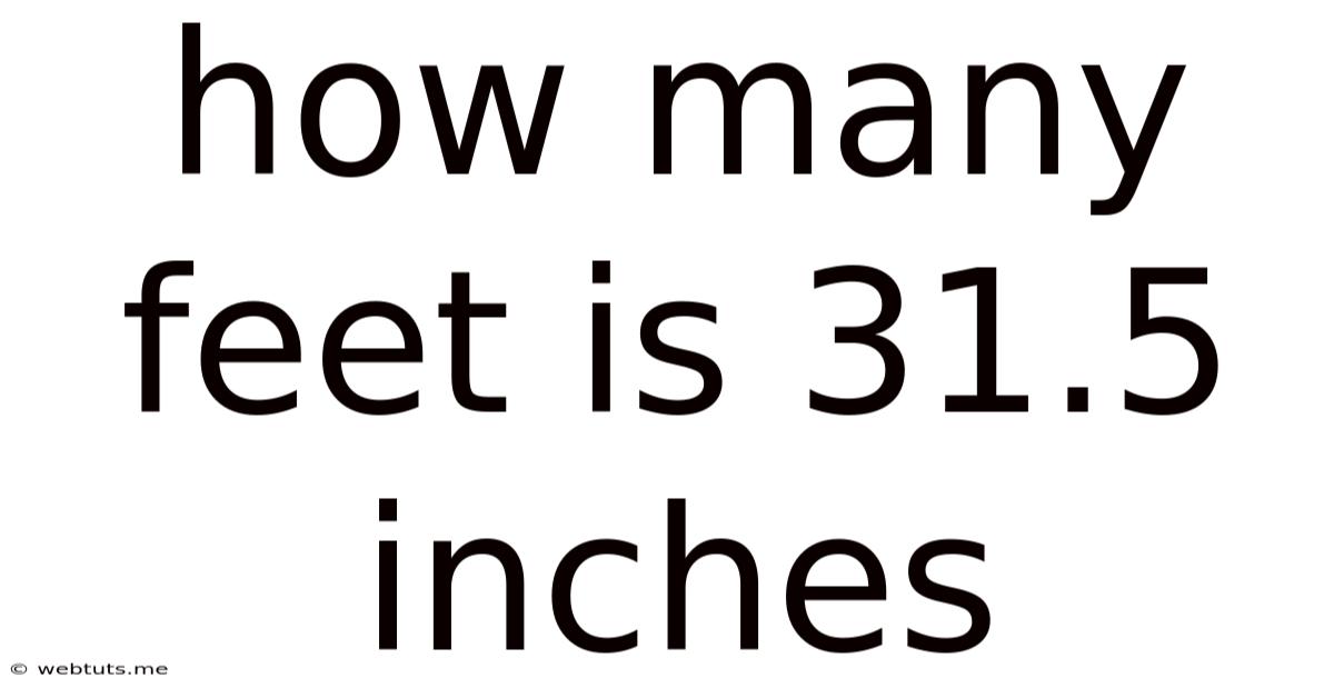 How Many Feet Is 31.5 Inches