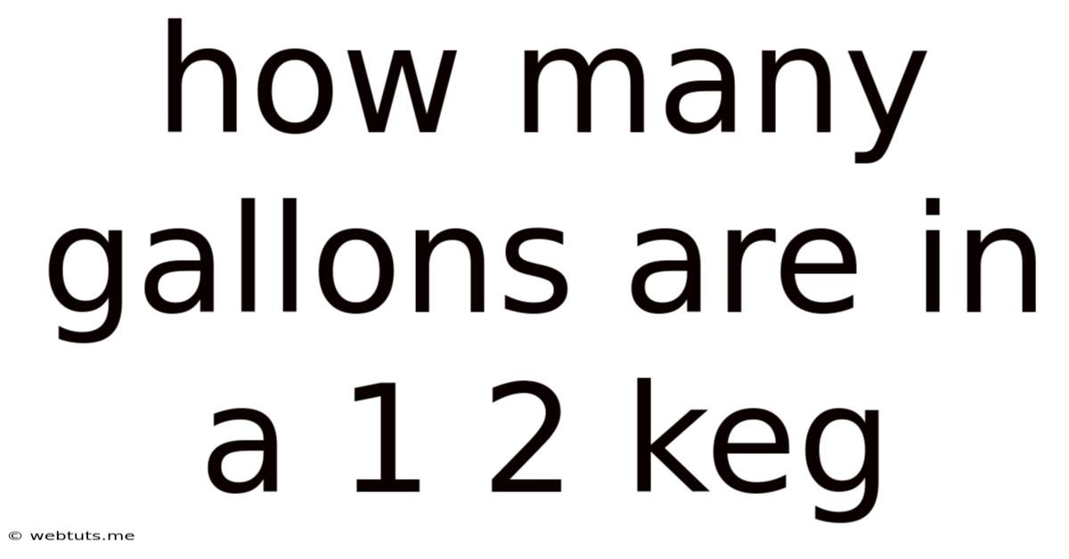 How Many Gallons Are In A 1 2 Keg