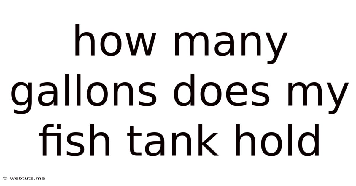 How Many Gallons Does My Fish Tank Hold