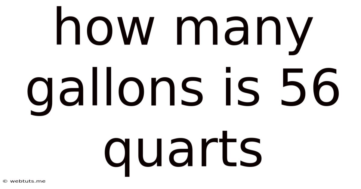 How Many Gallons Is 56 Quarts