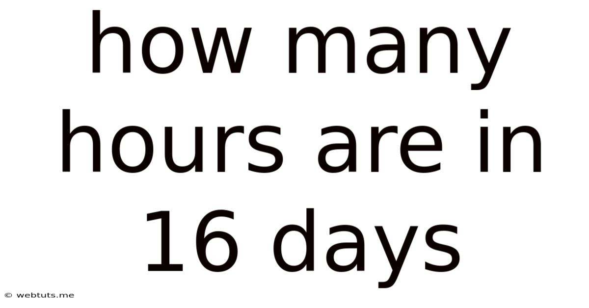 How Many Hours Are In 16 Days