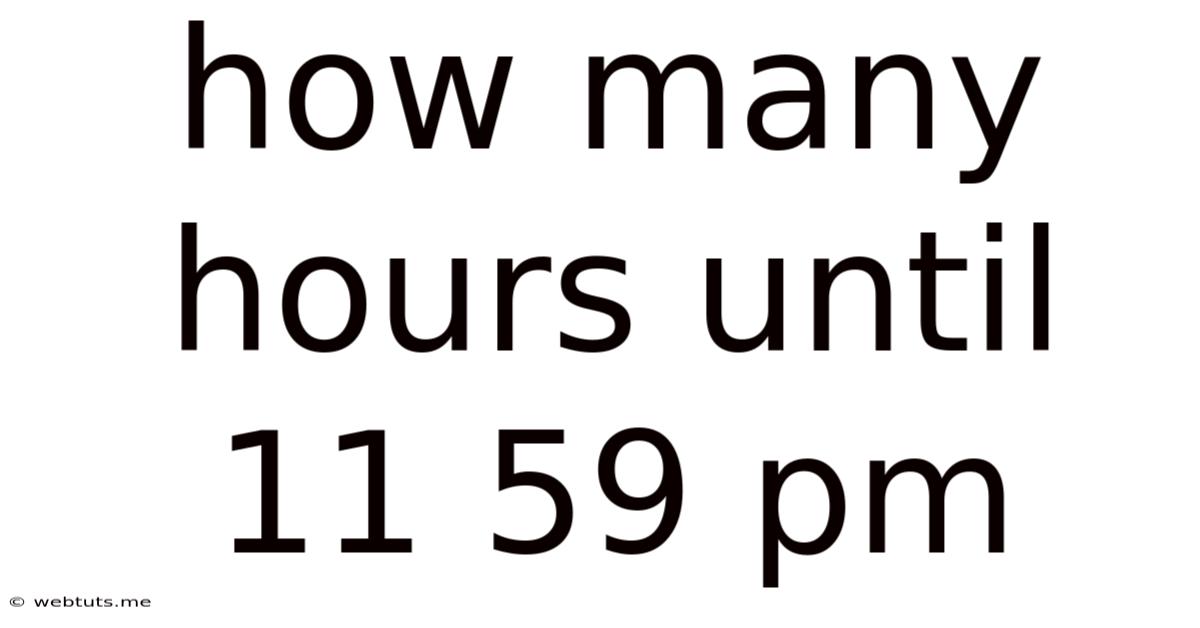 How Many Hours Until 11 59 Pm