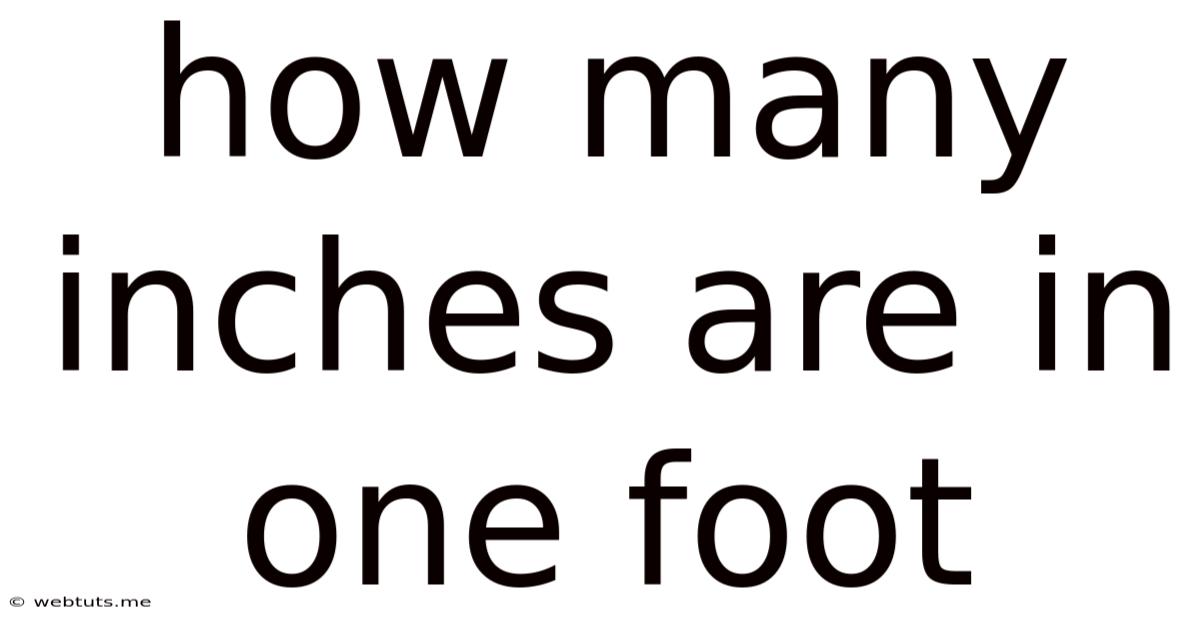 How Many Inches Are In One Foot