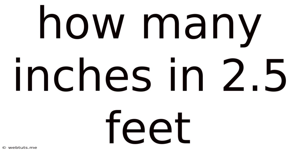 How Many Inches In 2.5 Feet