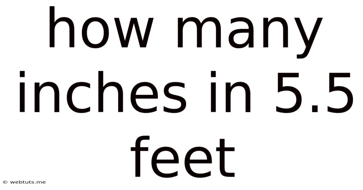 How Many Inches In 5.5 Feet