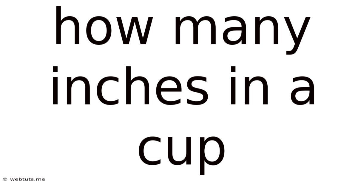 How Many Inches In A Cup