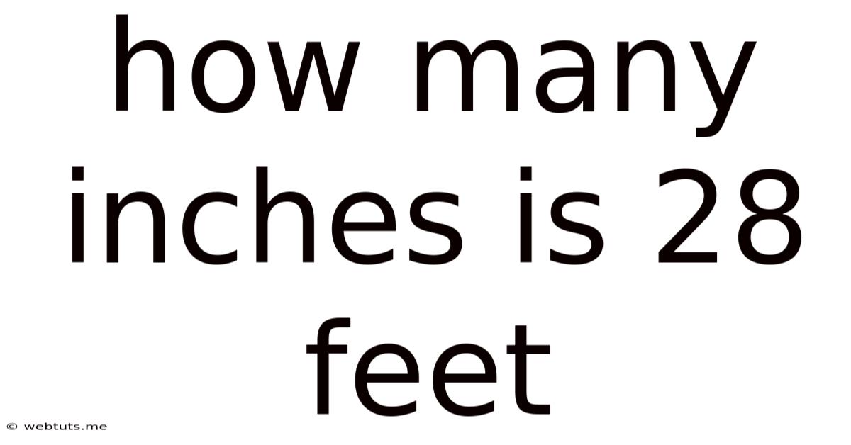 How Many Inches Is 28 Feet
