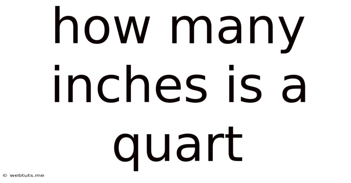 How Many Inches Is A Quart