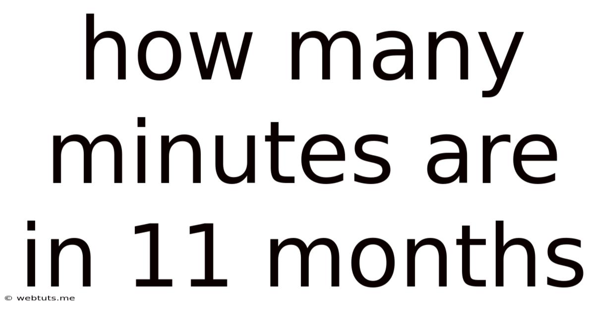 How Many Minutes Are In 11 Months