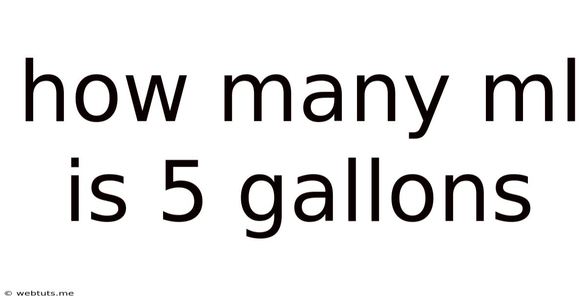 How Many Ml Is 5 Gallons