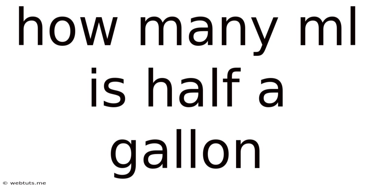 How Many Ml Is Half A Gallon