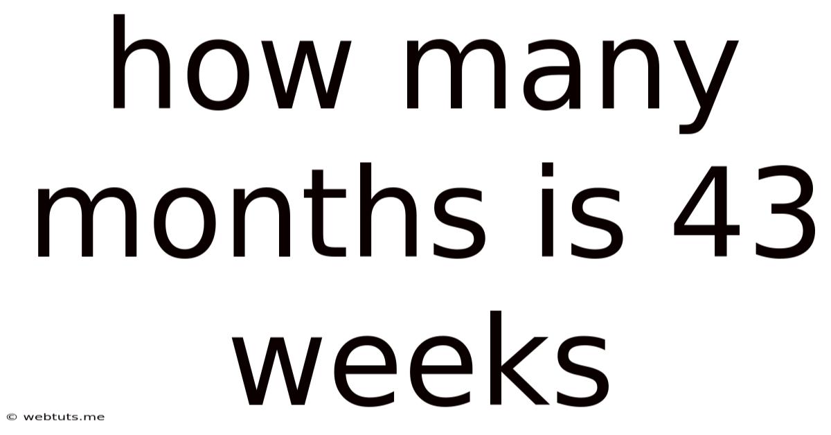 How Many Months Is 43 Weeks