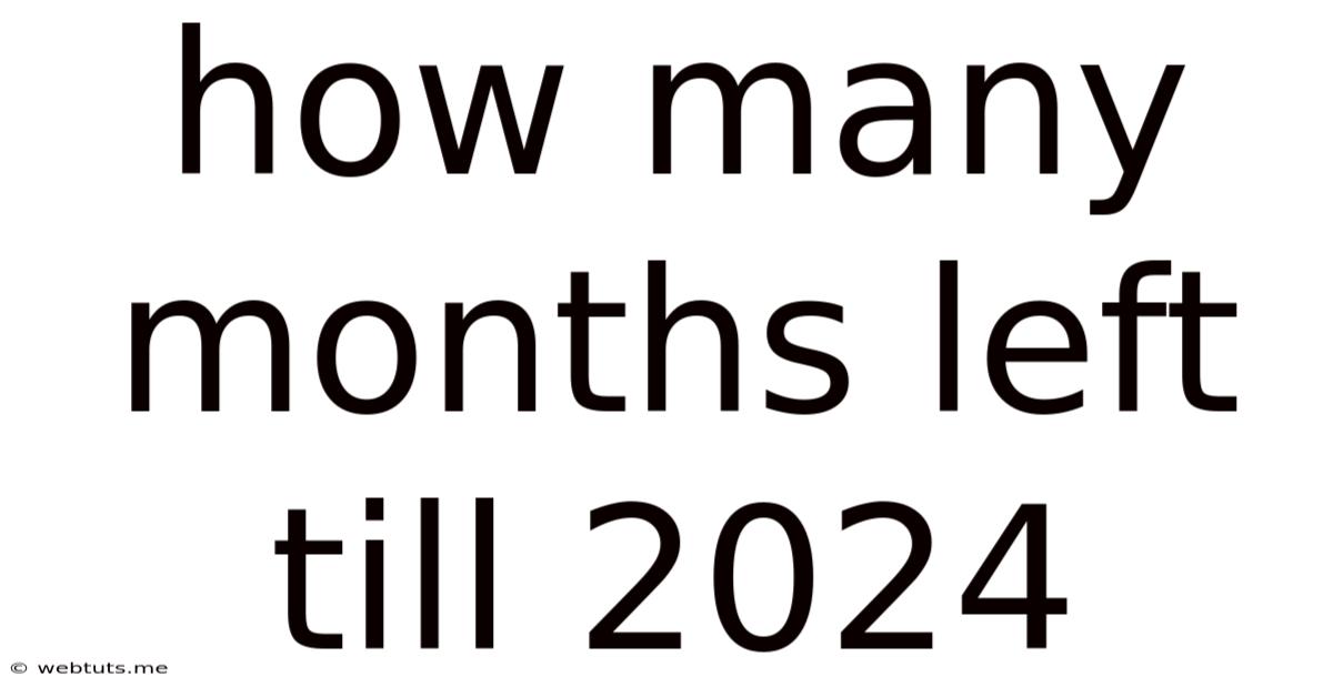 How Many Months Left Till 2024