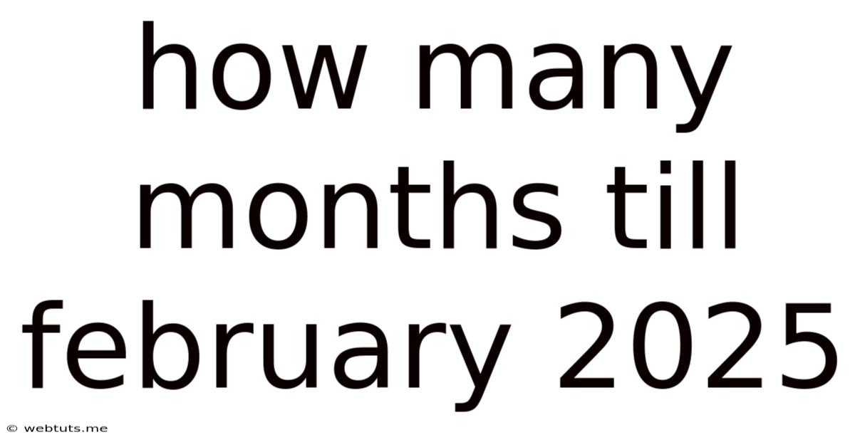 How Many Months Till February 2025