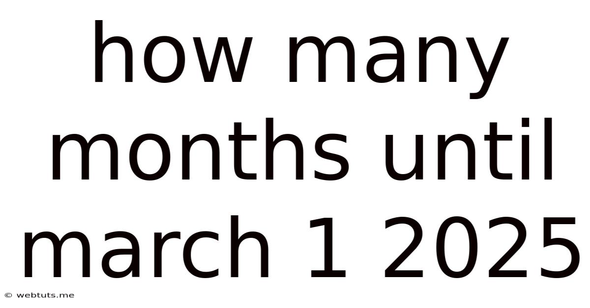 How Many Months Until March 1 2025
