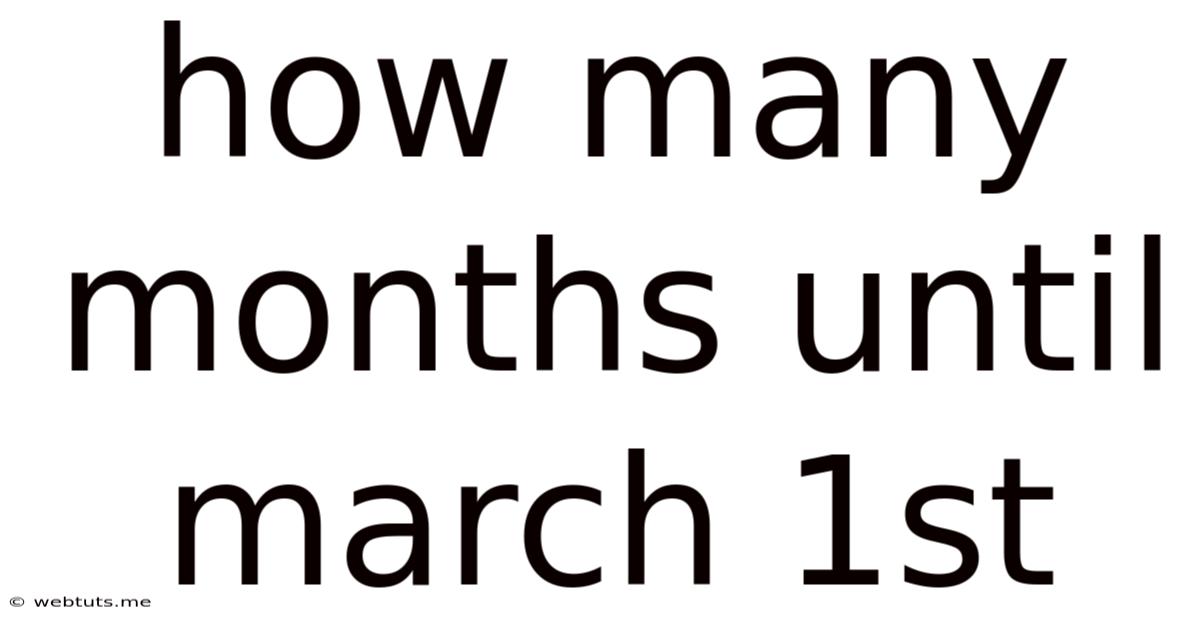 How Many Months Until March 1st