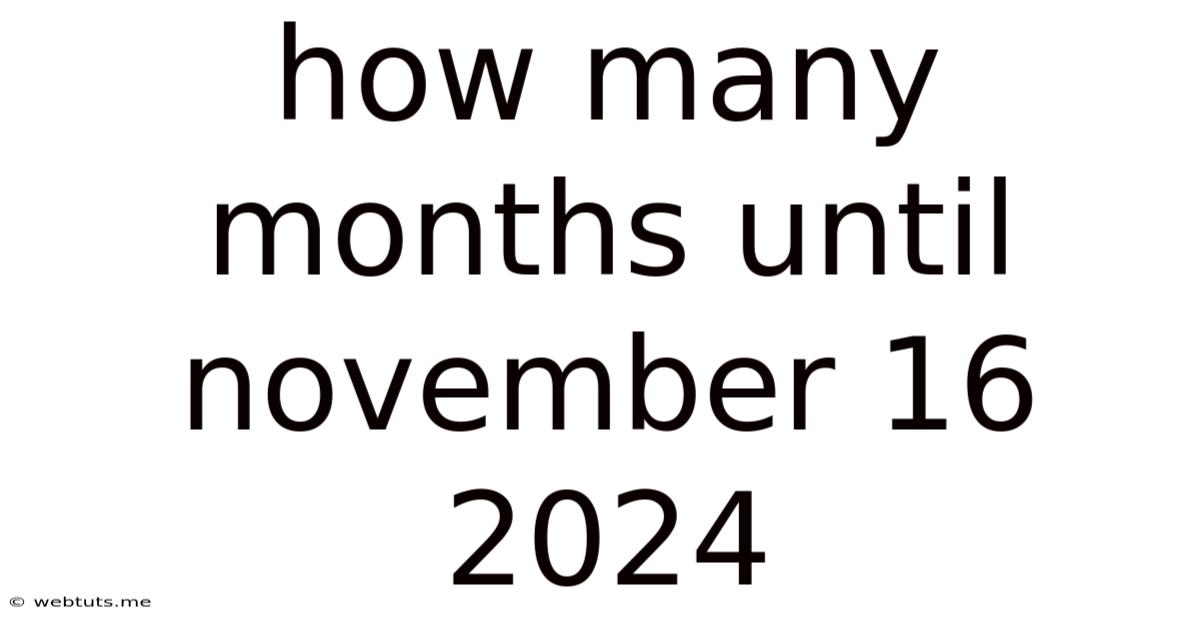How Many Months Until November 16 2024