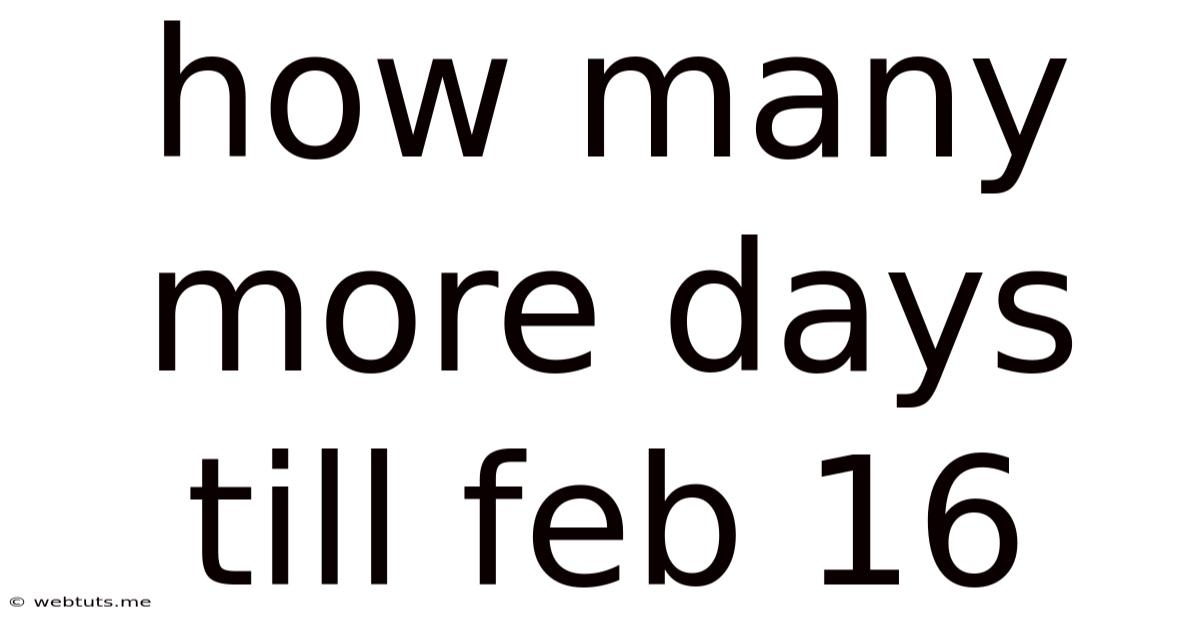 How Many More Days Till Feb 16