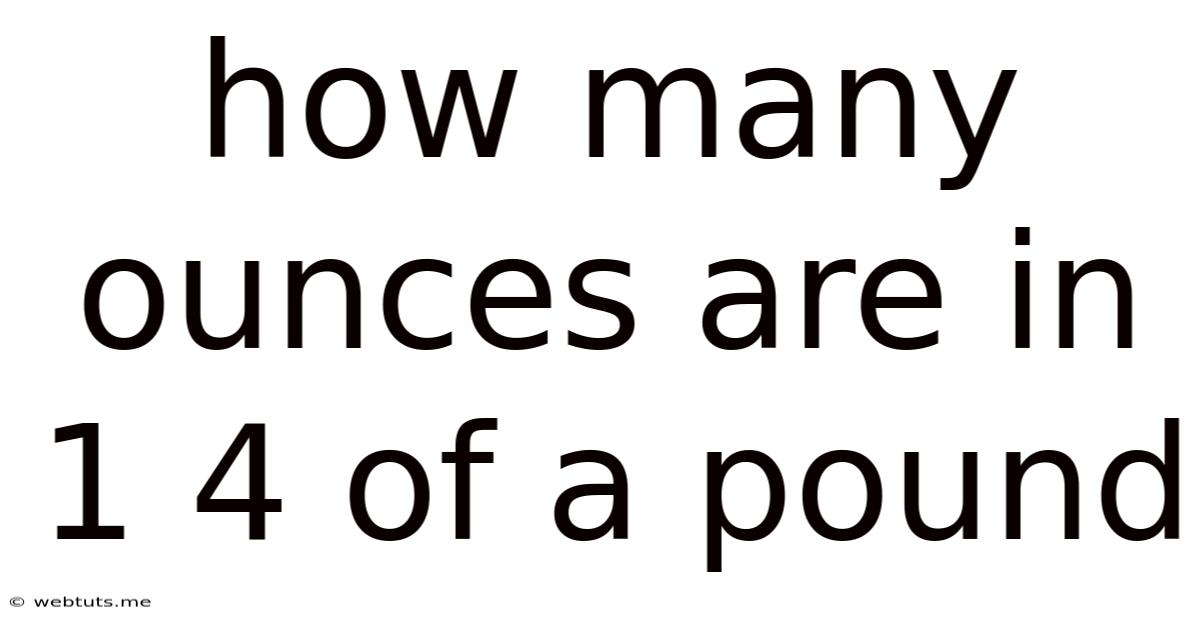 How Many Ounces Are In 1 4 Of A Pound