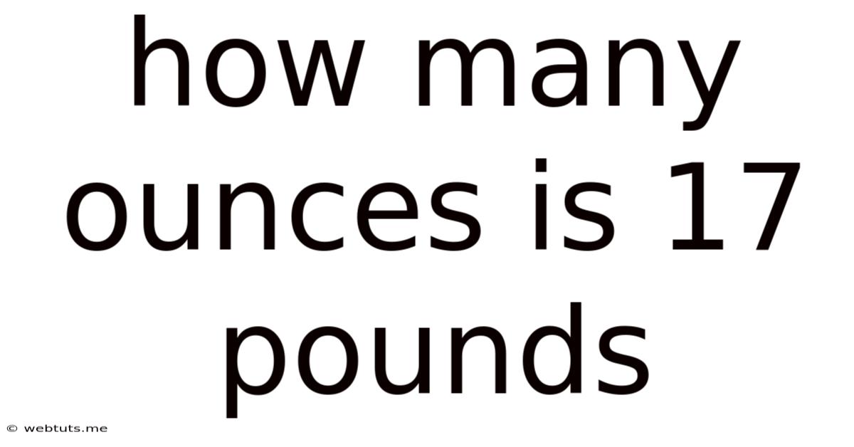 How Many Ounces Is 17 Pounds