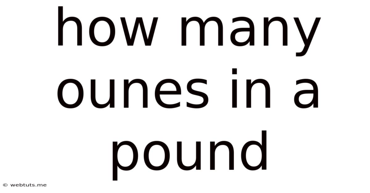 How Many Ounes In A Pound