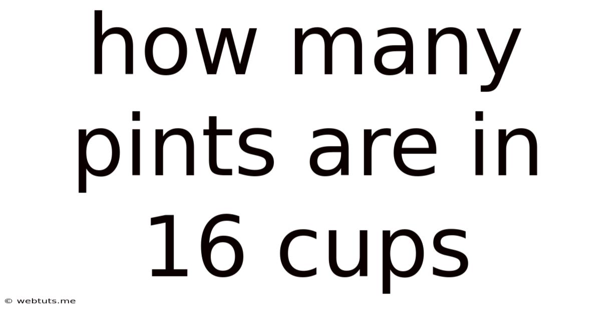 How Many Pints Are In 16 Cups