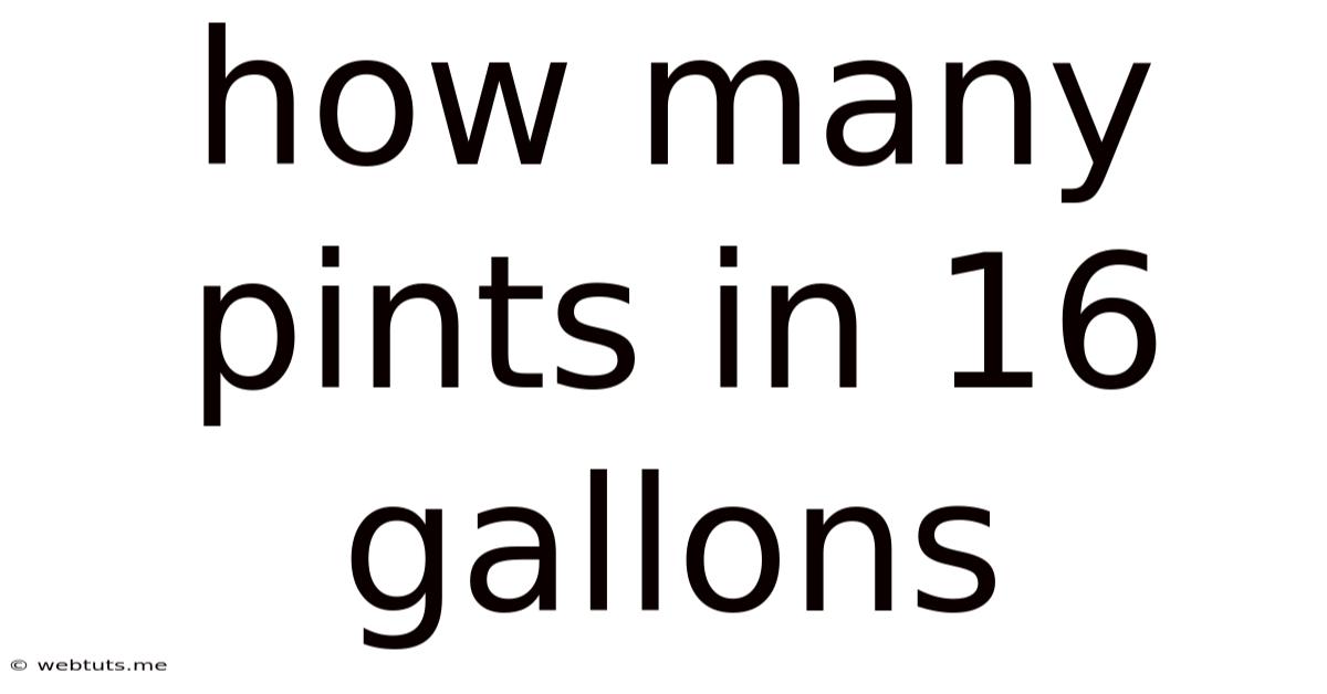 How Many Pints In 16 Gallons