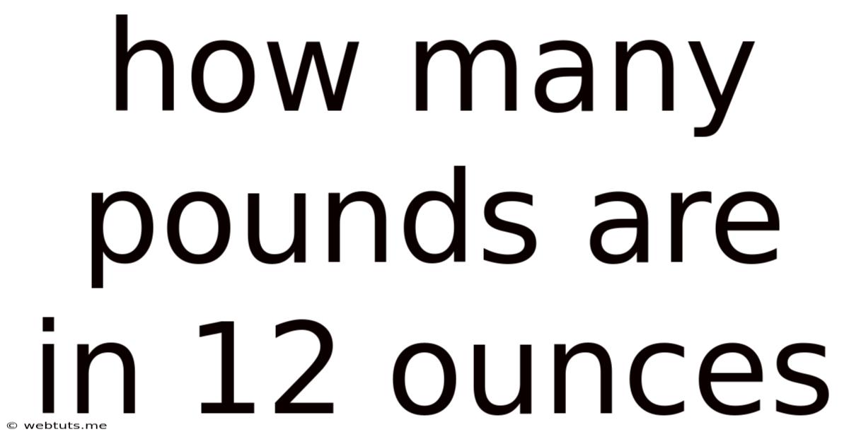 How Many Pounds Are In 12 Ounces