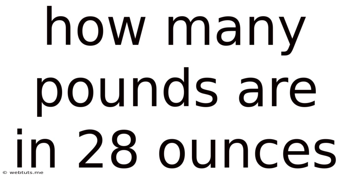 How Many Pounds Are In 28 Ounces