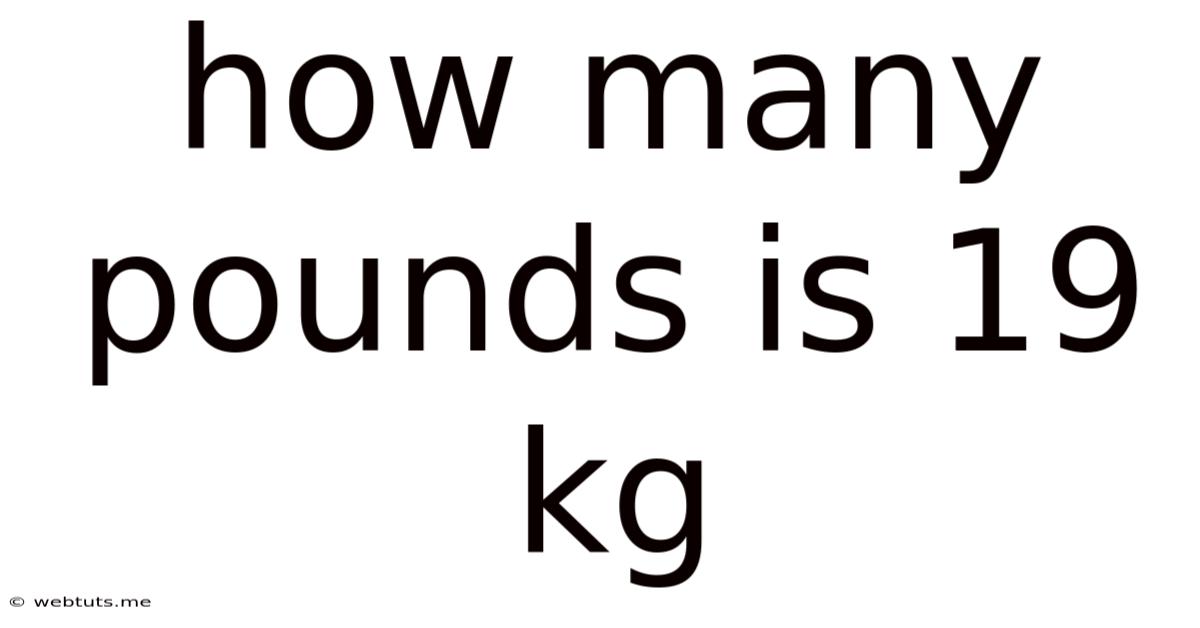 How Many Pounds Is 19 Kg