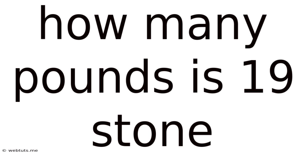 How Many Pounds Is 19 Stone