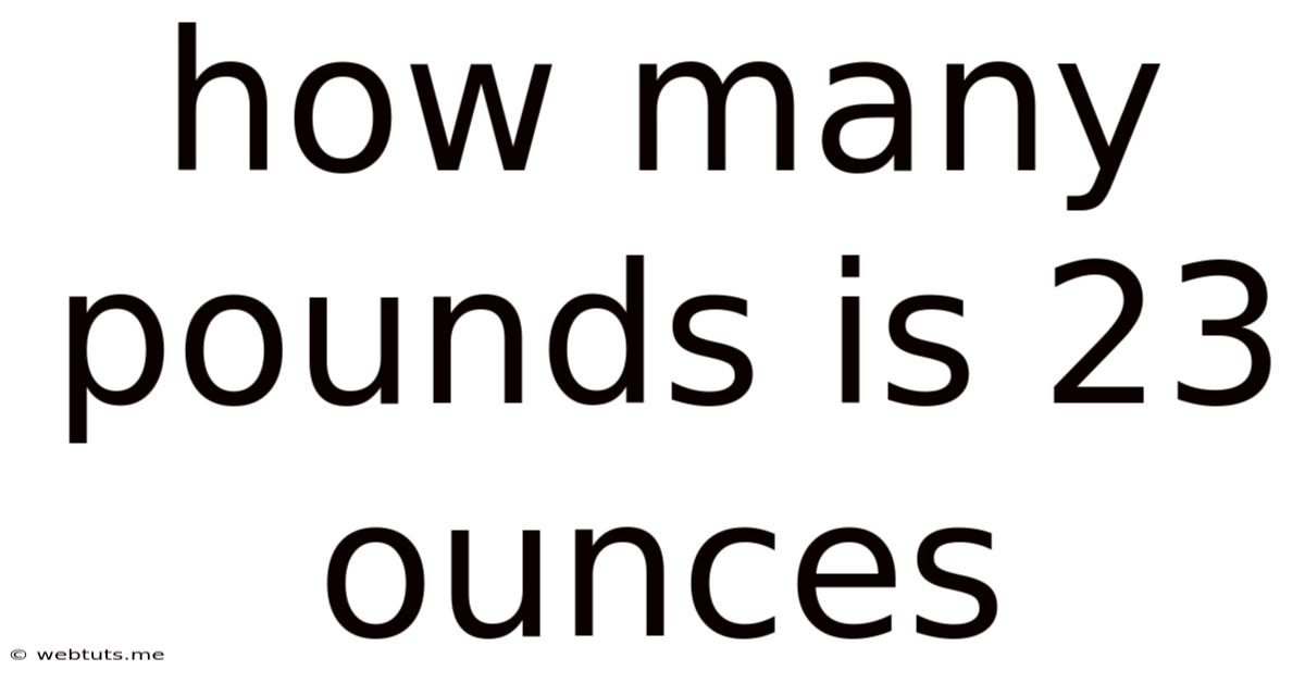 How Many Pounds Is 23 Ounces