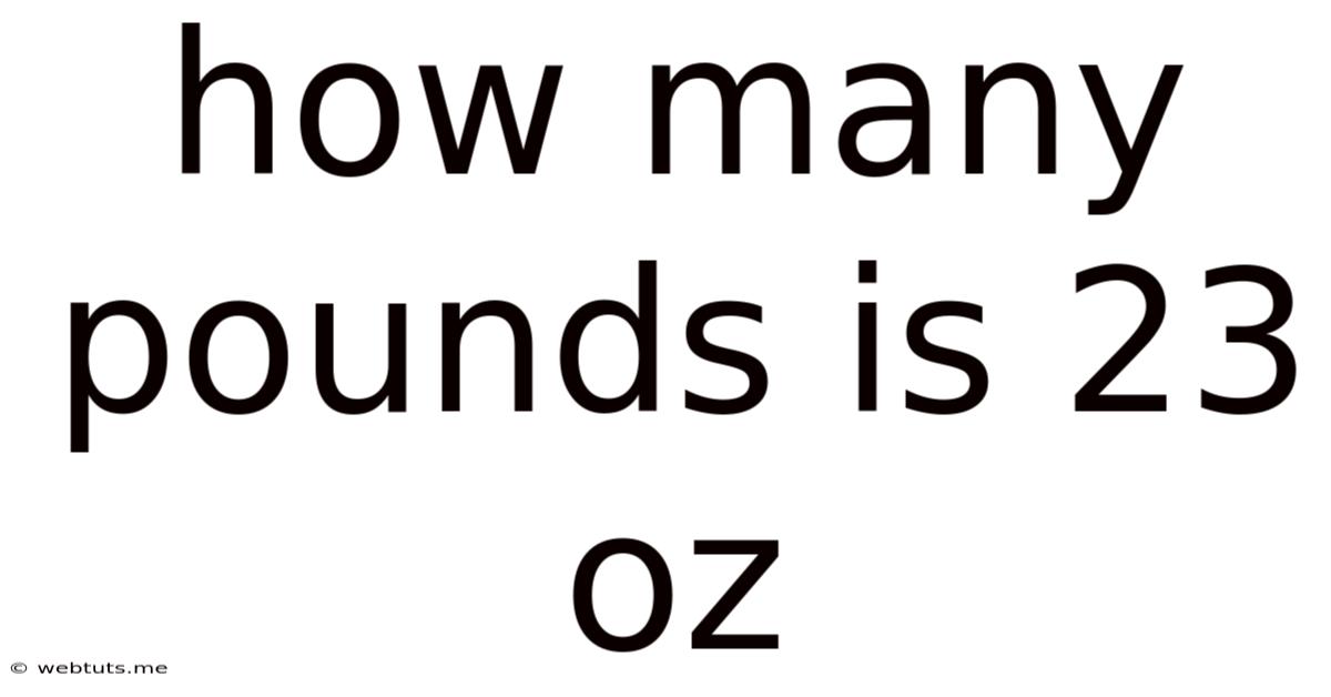 How Many Pounds Is 23 Oz