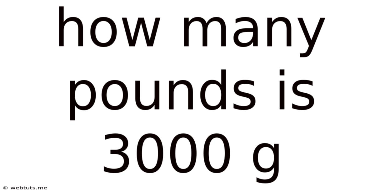 How Many Pounds Is 3000 G