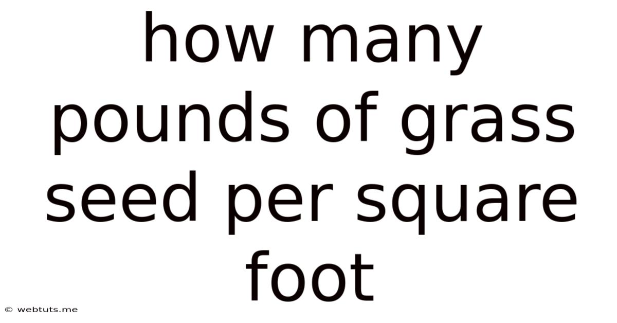 How Many Pounds Of Grass Seed Per Square Foot