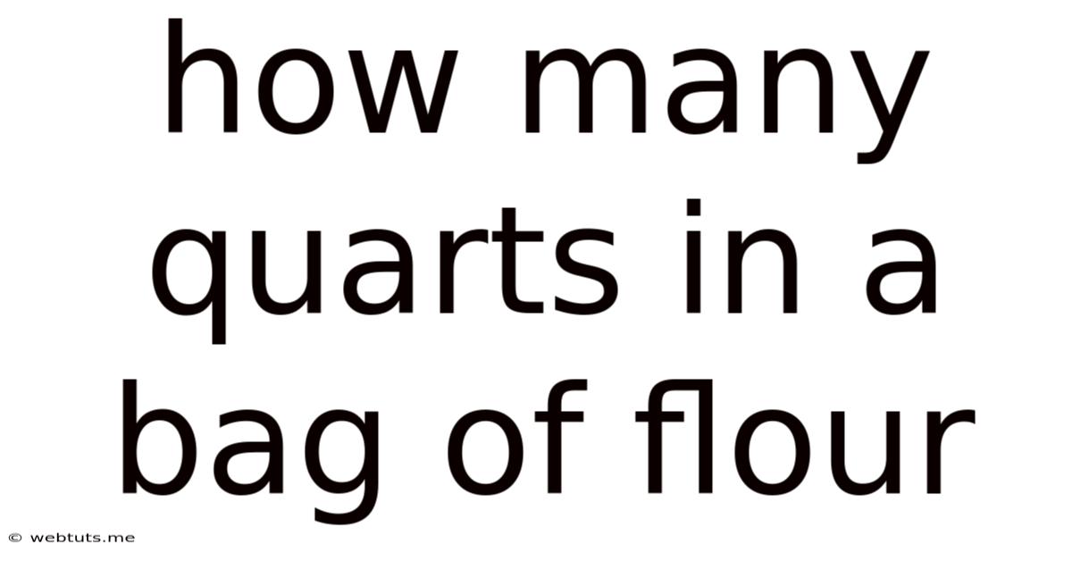 How Many Quarts In A Bag Of Flour