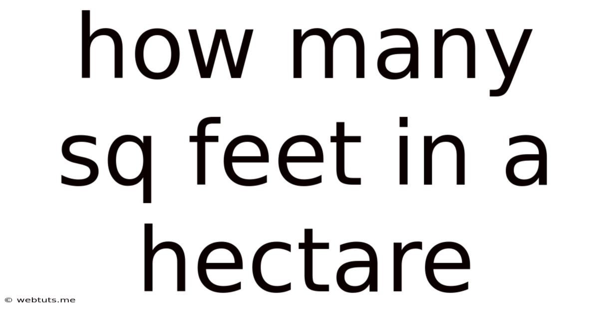 How Many Sq Feet In A Hectare