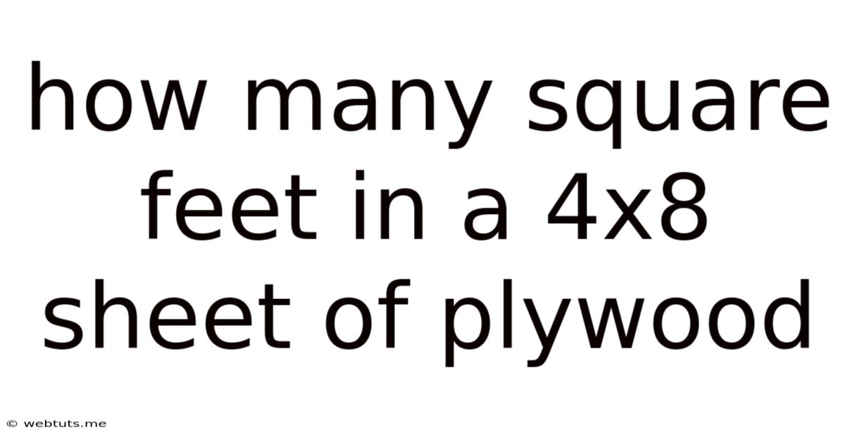 How Many Square Feet In A 4x8 Sheet Of Plywood