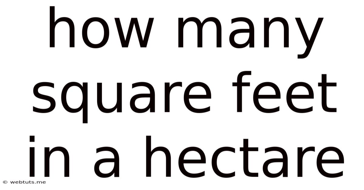 How Many Square Feet In A Hectare