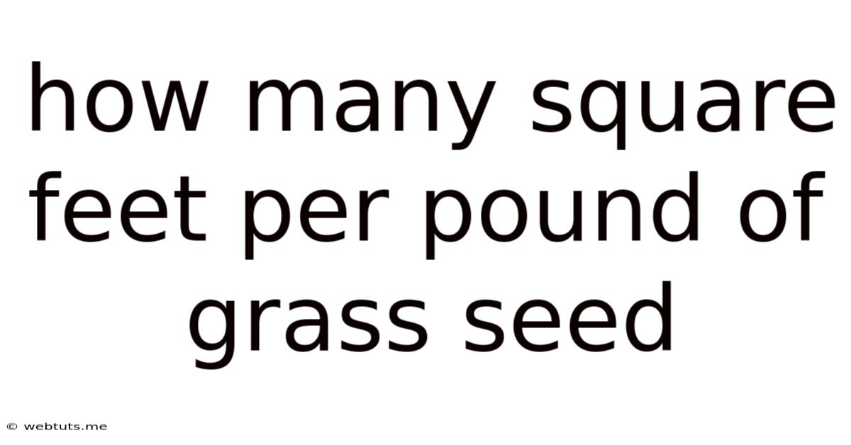 How Many Square Feet Per Pound Of Grass Seed