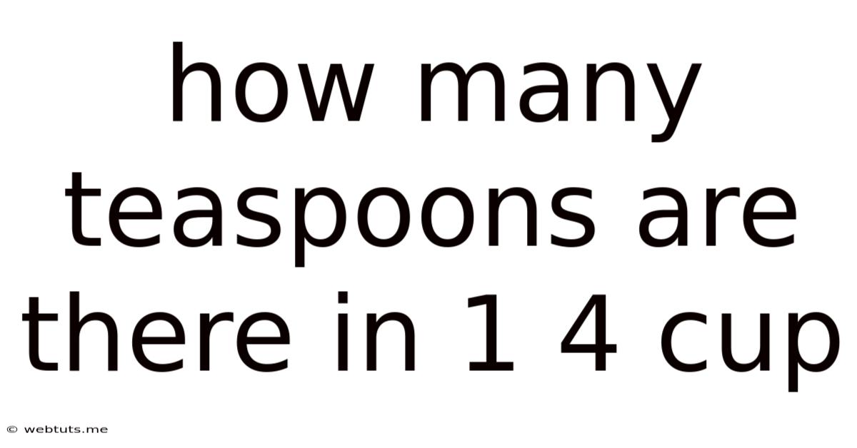How Many Teaspoons Are There In 1 4 Cup