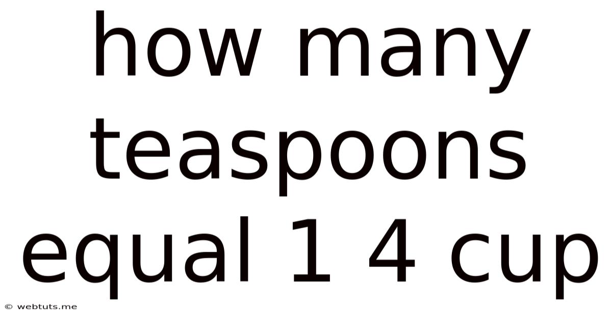 How Many Teaspoons Equal 1 4 Cup